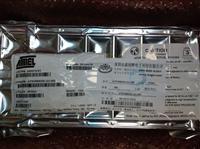 AT91RM9200-QU-002