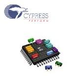 CY8C21234-24SXI